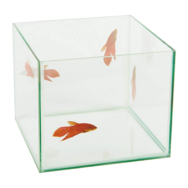 Mini Aquarium Tank