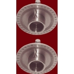 Polarizer and Analyzer (Polaroid)